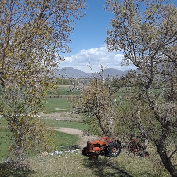 Hello - Picture 5 of 5